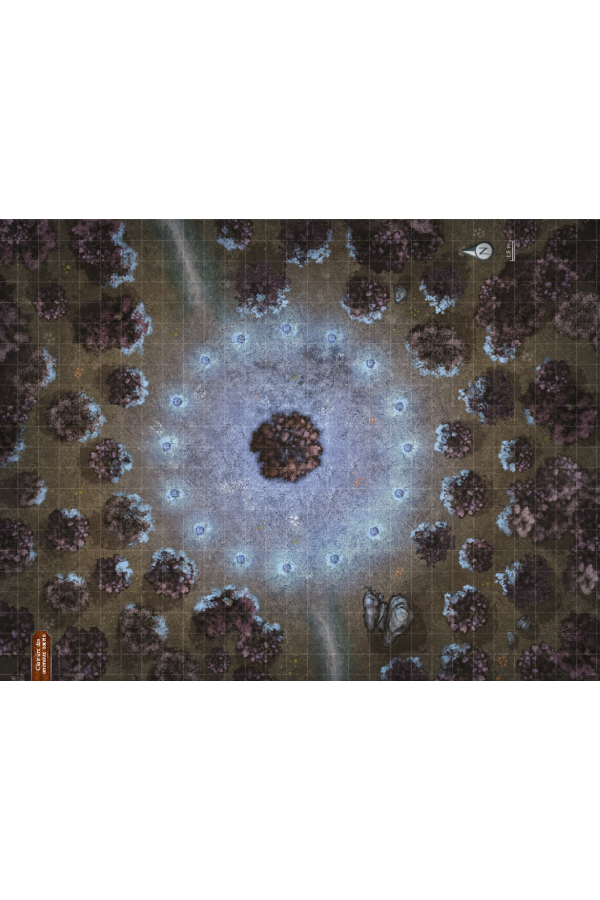 Pax Elfica - Écran du MJ et plans tactiques