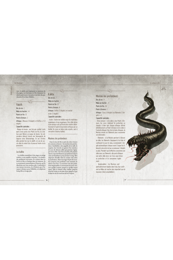 Libri Mundorum II : Mondes engloutis