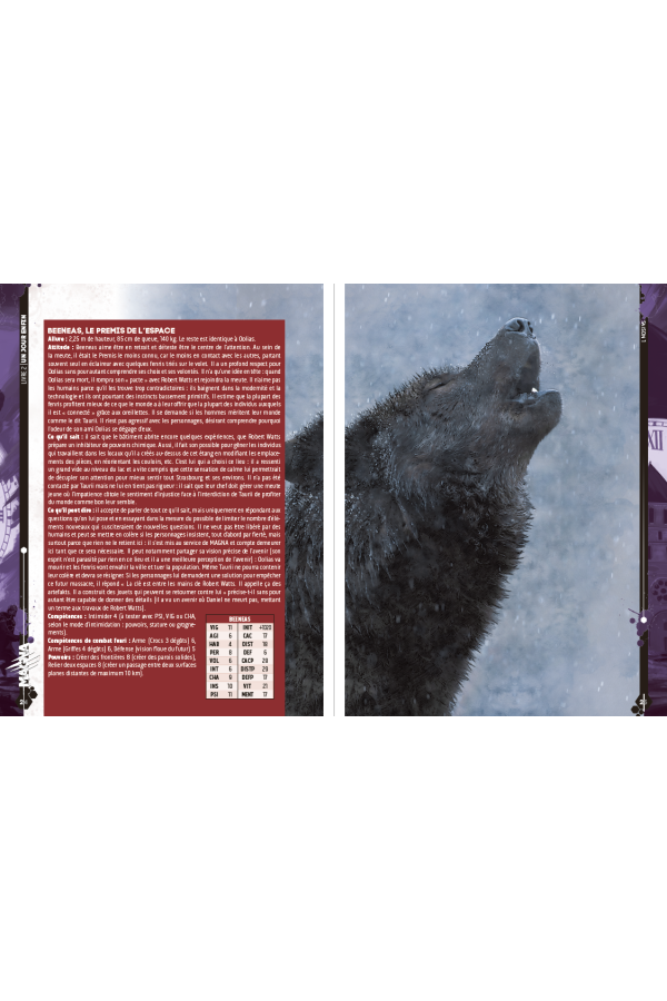 Magna - Livre 2 - Un jour enfin (collector)