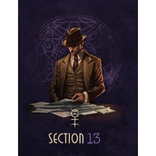 Section 13