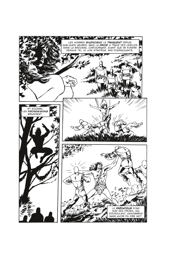 Aventuriers & Seigneurs de la Jungle