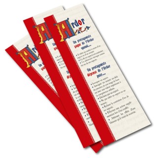 Mémo joueurs Medium Aevum (Lot de 5)